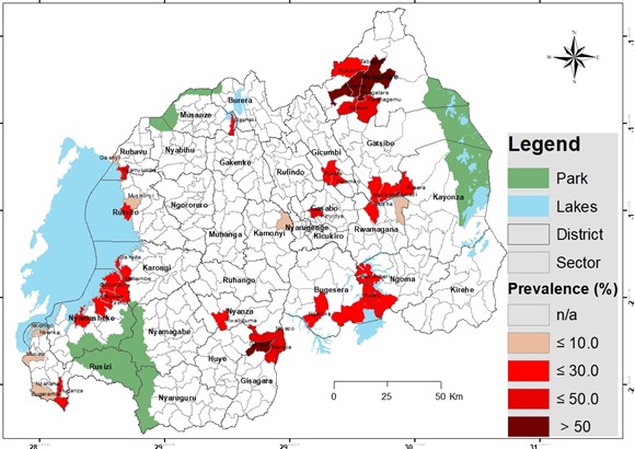 Schistosomiasis mapping